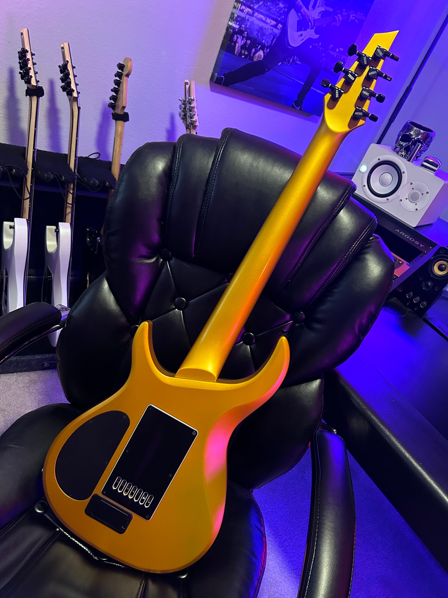 Black and Gold 7 string Kiesel guitar - VIP package